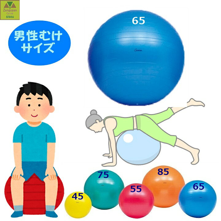 楽天市場 ボディボール 65 介護 高齢者 老人 プレゼント 贈り物 父 母 敬老 骨粗しょう症 骨折 リハビリ トレーニング エクササイズ リハビリ ボール エクササイズ ボール ストレッチ ボール アンチバースト トレーニング ボール ボディ ボール 人気 トーエイライト