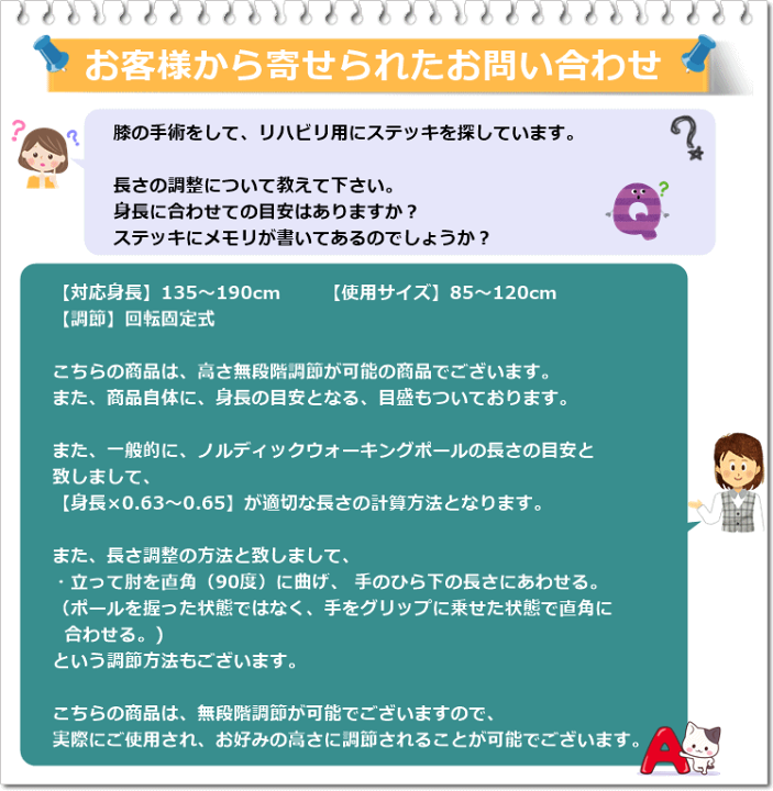 楽天市場】【送料込み】レビータ・ネクスト(2本1組)【ノルディック