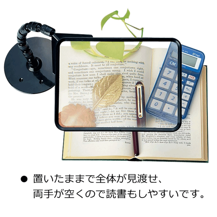 楽天市場】【平日15時まで即日出荷】せぼね君ルーペ・読書用【介護