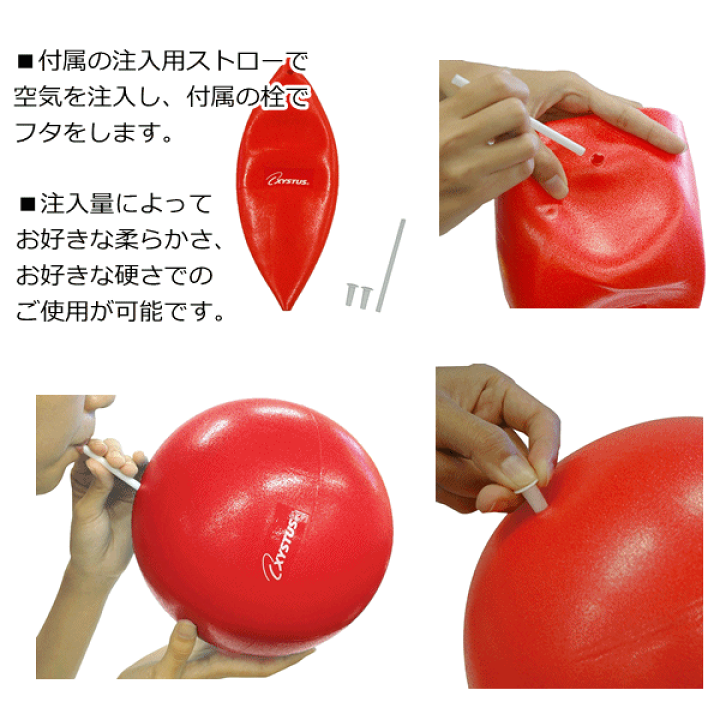 楽天市場 送料込み ピラティスボール 0 介護 高齢者 プレゼント 贈り物 敬老 生活支援 リハビリ トレーニング エクササイズ 片マヒ 車いす シルバー 人気商品 リハビリ ボール エクササイズ ボール バランスボール バランス トレーニング用 ボール トーエイライト