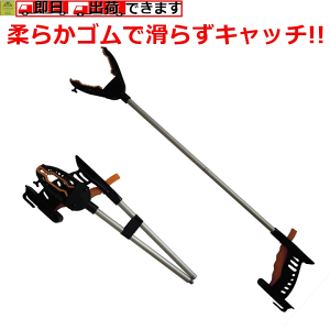 y15܂őoׁzӂ悭 [`[܂肽߂}WbNnhy}WbNnh   Vl v[g 蕨    hV ֗ ݖ_  ͂ ̕
