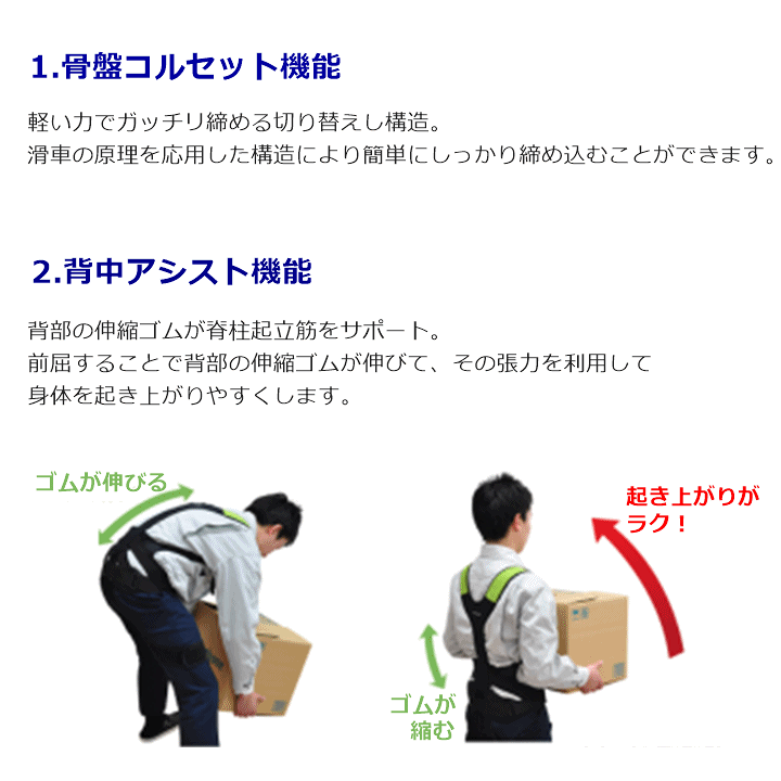 楽天市場】【平日15時まで即日発送】DARWING SATT(ダーウィン