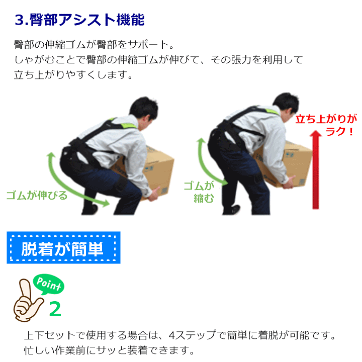 楽天市場】【平日15時まで即日発送】DARWING SATT(ダーウィン