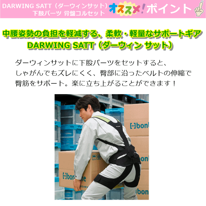 楽天市場】【平日15時まで即日発送】DARWING SATT(ダーウィン