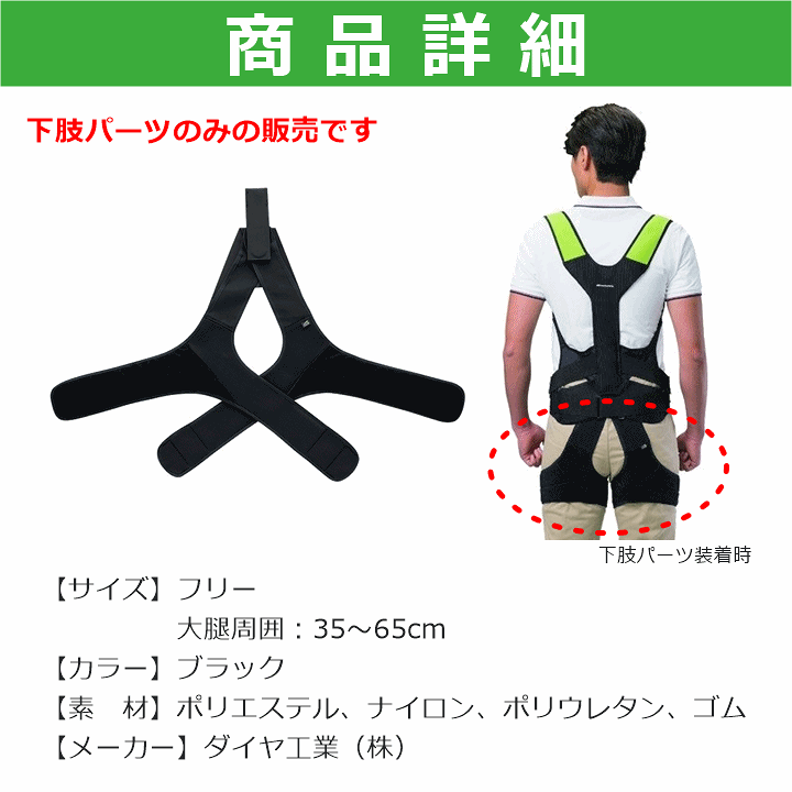 楽天市場】【平日15時まで即日発送】DARWING SATT(ダーウィン