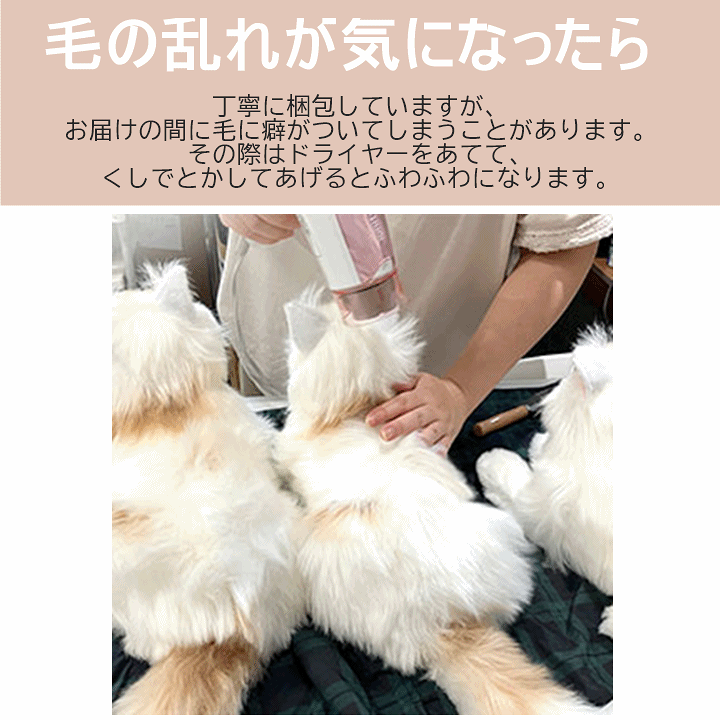 楽天市場】【平日15時まで即日出荷】なでなでねこちゃんEX