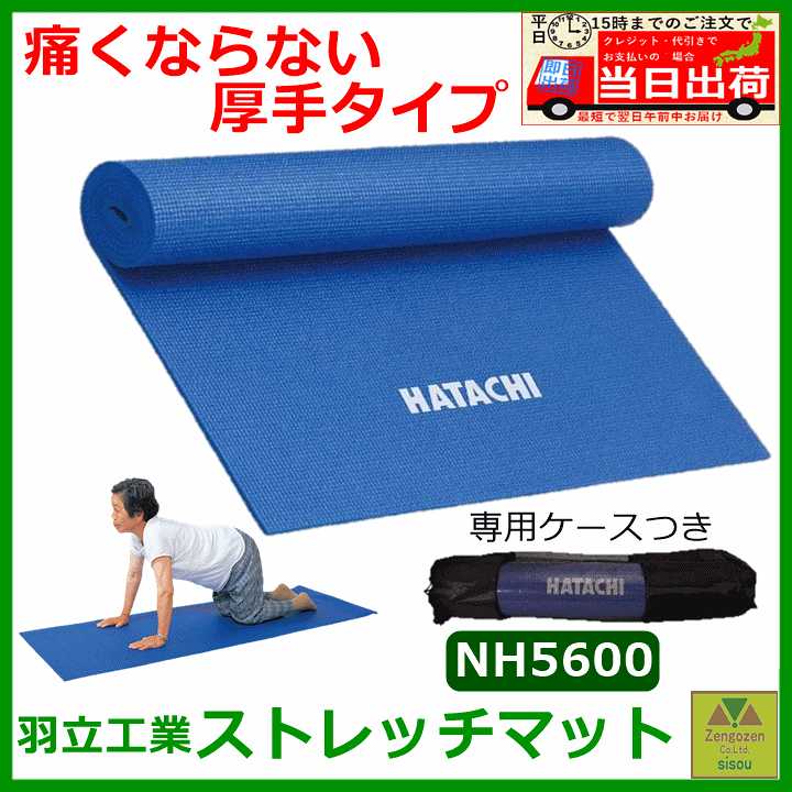楽天市場】【平日15時まで即日発送】ストレッチマット（ケース付
