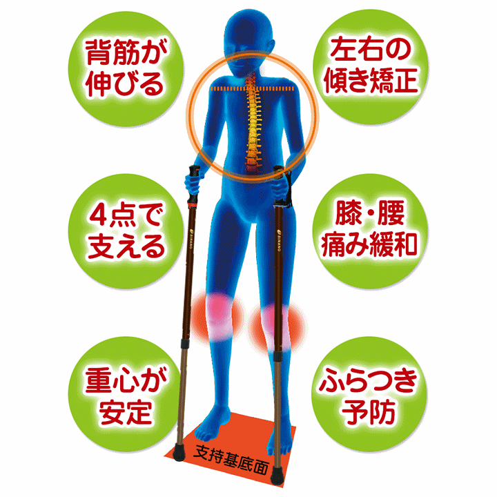 ウォーキングポ－ル 男&女用セット 2本×2 合計4本 二本杖 運動