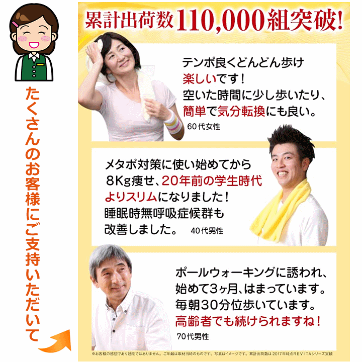 楽天市場】【送料込み】レビータ・ネクスト(2本1組)【ノルディック