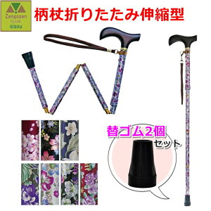 y15܂őoׁzCtXebL ܂肽ݐLk^{փS(16mm)2Zbgy  XebL p  Vl v[g 蕨 肽  p pXebL 