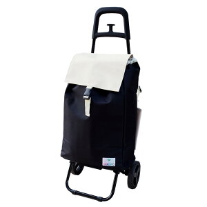 �y��e�� ���� ���� �ω׏d20kg�z�V���b�s���O�J�[�g �o�C�J���[W ���b�V���o�b�O�t���y�ۗ� �ۉ� cocoro �R�R�� �R�E�R�� COCORO �E�F���t�@�����f�� �L�����[ �J�[�g �������J�[�g �L�����[�o