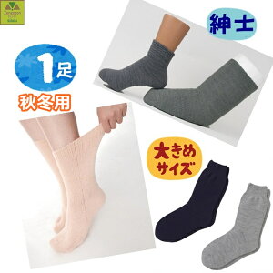 y15܂őoׁzTCY傫Ȃiނݗpjamp(H~p)y  v[g lC amp\bNX jp\bNX ampC jp C  