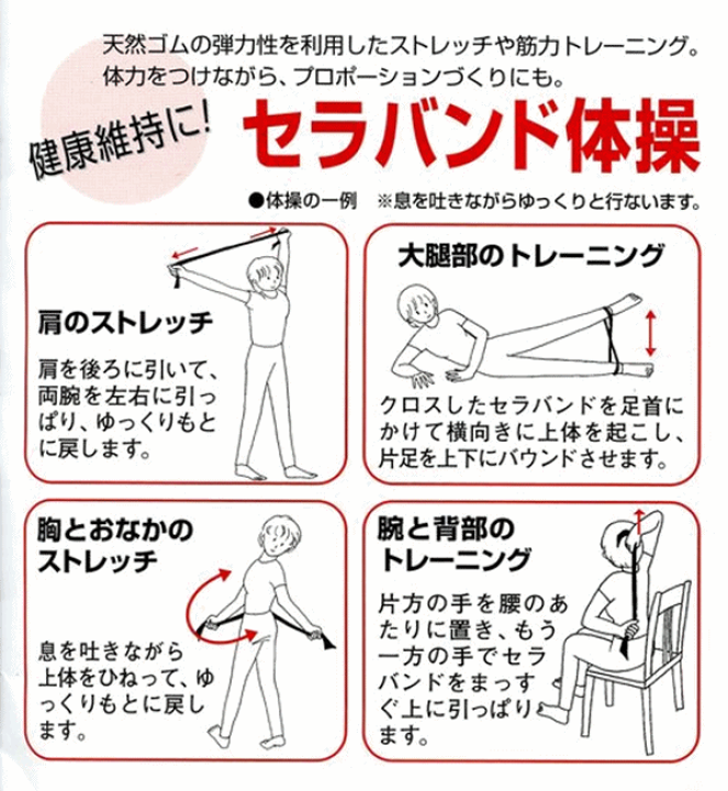 楽天市場】【平日15時まで即日発送】セラバンド・ミニパック赤 [中弱