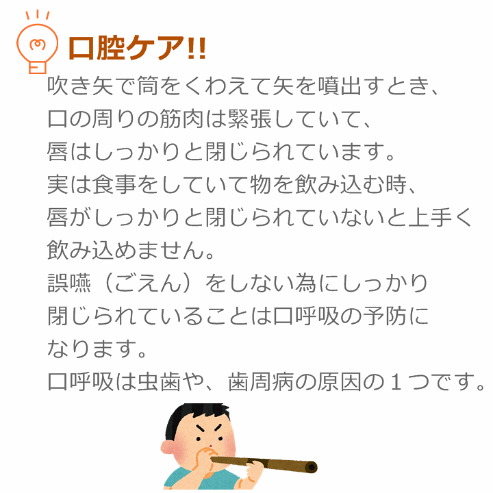 楽天市場】【平日15時まで即日発送】マグネット健康吹矢セット