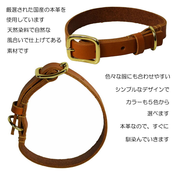 楽天市場】首輪 犬 小型犬用 本革 栃木レザー シンプル 丈夫 軽い 