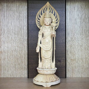  ω ۑ w ѐA 5 26.5cm Dt   { d