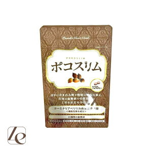 |RX 60 120 Ǝb̋z} ^[~iA׃J _ @\\Hi