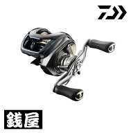 ダイワ 26スティーズ SV ライト TW 100HL