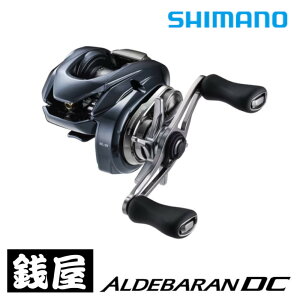 �V�}�m 25 �A���f�o���� DC 31XG