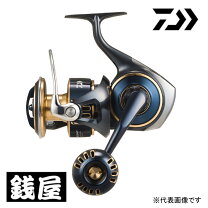 楽天市場】ソルティガ 8000 スプールの通販