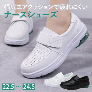 i[XV[Y ɂ  GA[ GANbVyzXj[J[ É 22.5`24.5cm DIAFELIZ