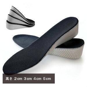 シークレットインソール 【送料無料】高さ2cm 3cm 4cm 5cm レディース メンズ DIAFELIZ