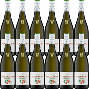 �T���g���[ �t�@���P���x���N �}�h���i �I�[�K�j�b�N �� 750ml×12�{ u-yu