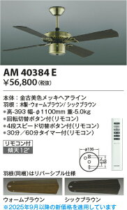 �y�C���e���A�t�@���z�y�����R���t�zAM40384E