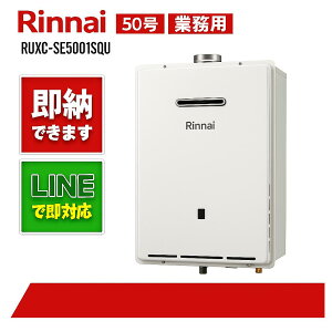 iCyRUXC-SE5001SQUzƖpGRW[Y@50