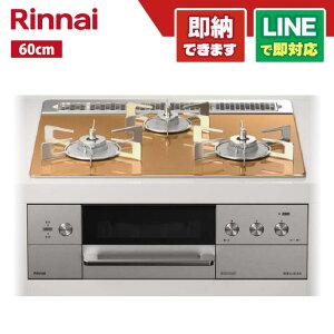 �����i�C RHS31W30E12RCASTW DELICIA 60cm 3V 7�Z�OLED �X�p�[�N�����O�J�b�p�[ �U�E�R�R�b�g�t��