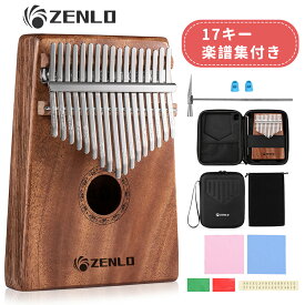 楽天市場 楽器 初心者の通販