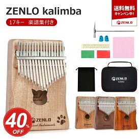【全店舗7％オフ！】楽器 カリンバ ゆびピアノ楽器 演奏 初心者 入門 子供 サムキッズ ワントーン おもちゃ 17キー 親指ピアノ Kalimba 17 keys C調 アフリ マホガニー製 フィンガーポータブル チューニング可 ハンマー 清掃クロス付き 演奏しやすい EVA高性能収納