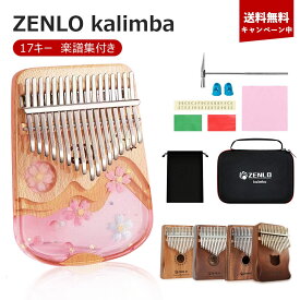 ＼3日間限定☆15％OFF！／カリンバ 初心者セット 収納ケース カリンバ初心者 親指ピアノ Kalimba C調 指ピアノ アフリカ楽器 マホガニー製 フィンガーピアノ ポータブル チューニング可 初心者向け ハンマー ・清掃クロス付き 演奏やすい EVA高性能収納 17キー