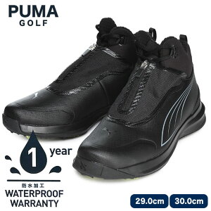 傫TCY Y PUMA (v[}) GOLF Wbv [XAbv V[Y DRYLBL Xj[J[ X|[c St 379227