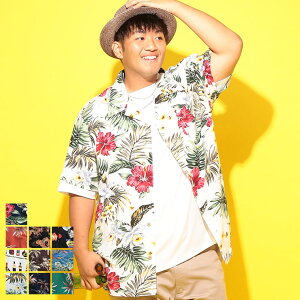yԌ艿izAnVc [  3L 4L 5L 6L 7L 8L 9L 10L  傫TCY Y gbvX Vc J݃Vc I[v An  ][g BT CLUB r[AheB[Nu