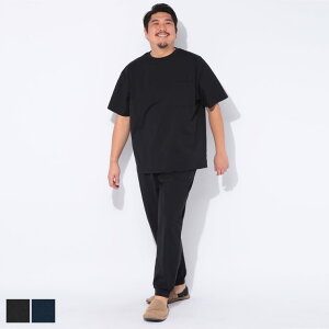 PIMLICO (�s�����R) [WEB����] �X�g���b�` �z������ ����T�V���c �����O�p���c �Z�b�g�A�b�v AVRX03 �傫���T�C�Y �����Y ������ �p�W���} ���[���E�F�A �V���v�� �㉺�Z�b�g