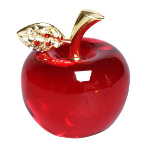 S̒u  S̒u KXH|i ▭ȃS ObY z[fR[V ̓ p