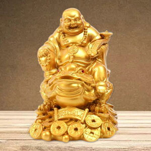 ̃JG̒u_Ƃ̌ւ̎ԗ̏΂F