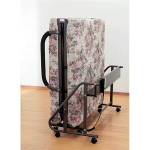 ܂肽݃xbh/[NCjOxbh VO/d^Cv ؐ[I/RZg/LX^[t Su