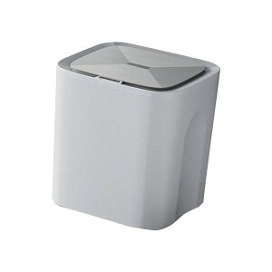 oX[[VZT[S~CeWFgS~ÉpIȃS~vC[p