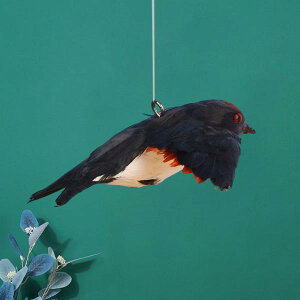 coǊ|A݂艺y_g̒ƒȗItBXp