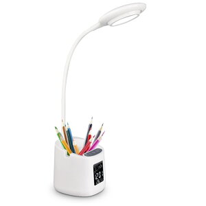 NGCeBu@\fBXvCڂ̕یfXNvCX[d 10 bgfXNgbvǏƊwKiCgCg