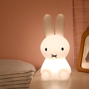 ~btB[ETMv傫ȃoj[e[uv킢xbhTChQtAvrO[͋CiCgCg