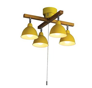 _˃}U[Yv V[OCg VƖ LEDΉ k rO Ebho[NX