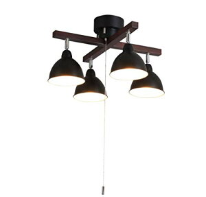 _˃}U[Yv V[OCg VƖ LEDΉ k rO Ebho[NX