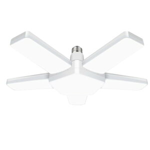 K[WCg 80W y_gCg V[OCg4 px߉\ ȃGl ԏ q WȂǂɑΉ Ɠ ܂肽