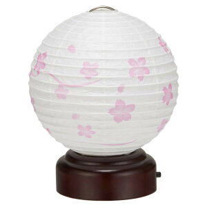d cX ~ ~傤 ~j (䂢) ی^  LED R[hX 3919-T ()13cm×11cm u ؖt