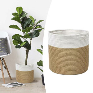 oXPbgnK[[vD葕ꂽoXPbgh[oXPbgyellow25cm