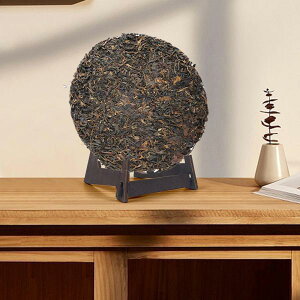 ʐ^sN`[TCz_[AؐC[[X^hAGAH|iAʐ^pC[[