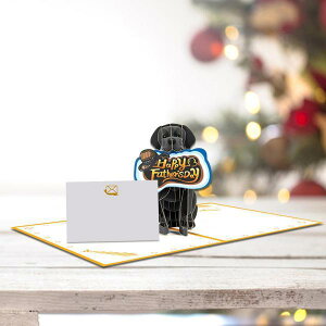 3D ̓J[h ȁAAqA̓̕O[eBOJ[hAaJ[hApnbs[̓J[hB